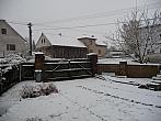 Třibřichy